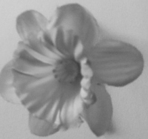 www-1.gerdigrijmans.nl-medium-hilversum